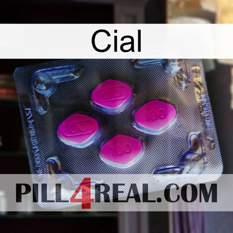 Cial 02